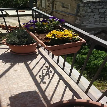 Casa de hóspedes Brezak